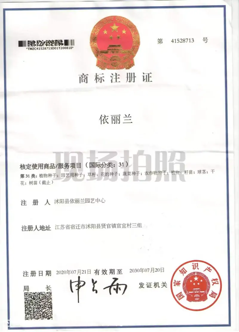 依丽兰商标注册证-护坡草种_边坡灌木种子品牌