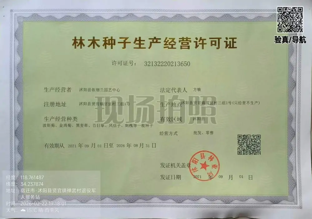 沭阳县依丽兰园艺中心林木种子生产经营许可证-护坡草种_边坡灌木种子