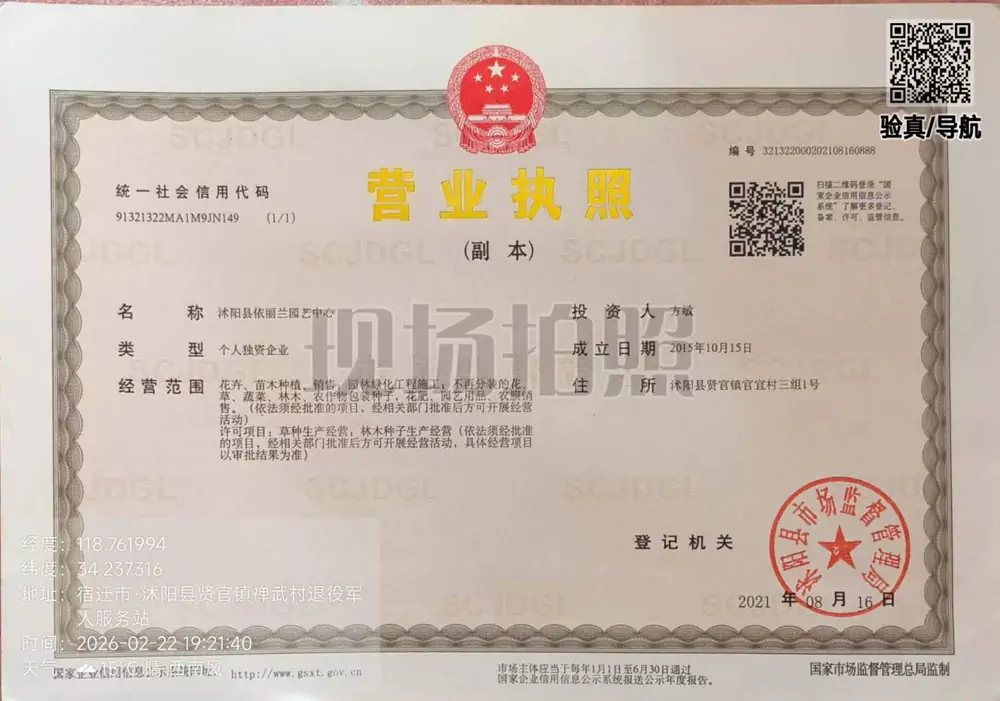 沭阳县依丽兰园艺中心营业执照-护坡草种_边坡灌木种子经营