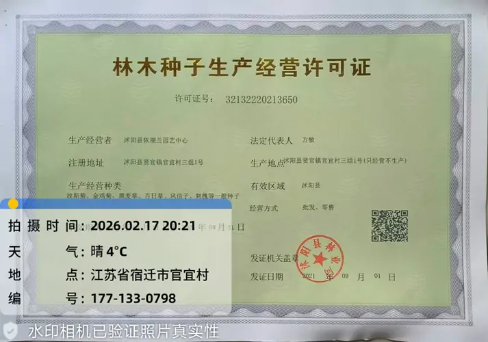 种子经营许可证-护坡草种_边坡灌木种子_矿山复绿固土