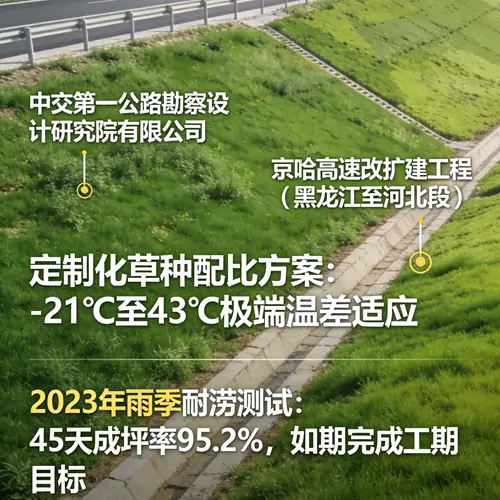 客户项目现场实拍