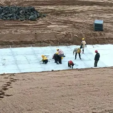 江西省地质环境监测总站生态修复技术中心 张博士 江西德兴铜矿银山矿区废弃地修复项目现场