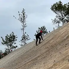 护坡草种-边坡灌木种子应用场景