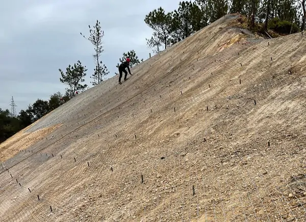 护坡草种-边坡灌木种子工程实景