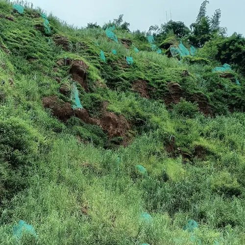 浙江省交通养护工程有限公司项目现场实拍