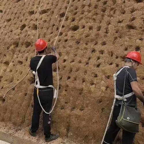 中国铝业集团有限公司中州铝厂露天铝矿复绿现场实拍