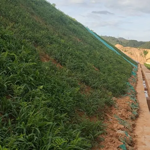 北京高能时代环境技术股份有限公司德兴露天铜矿复绿现场实拍