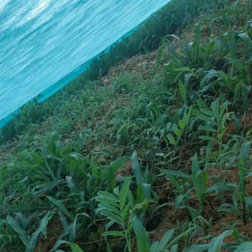 山西晋能控股生态修复有限公司大同煤矸石矿坡修复现场实拍