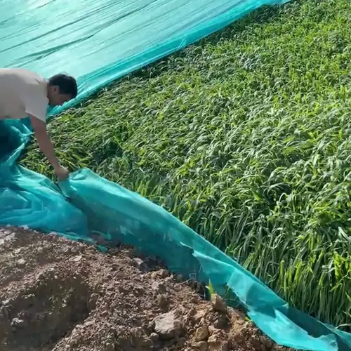 铜陵有色金属集团股份有限公司铜矿区修复现场实拍