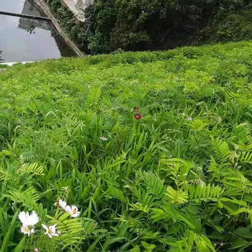 北京市政路桥股份有限公司长安街西延线养护现场实拍