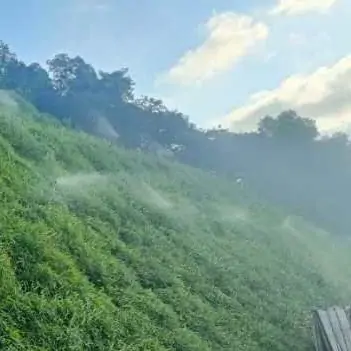 成都市锦江区住房和城乡建设局天府大道景观带养护现场实拍