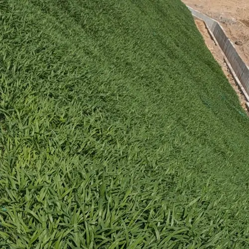 白城市通榆县生态修复有限公司苏打盐碱地改良现场实拍