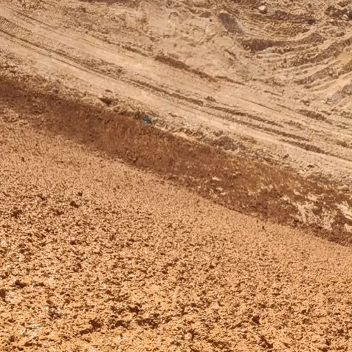 江苏盐城湿地珍禽国家级自然保护区管理处滨海盐碱地改良现场实拍