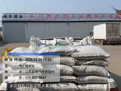 依丽兰园艺-护坡草种_边坡灌木种子_矿山复绿固土种子_道路水土保持种子供应