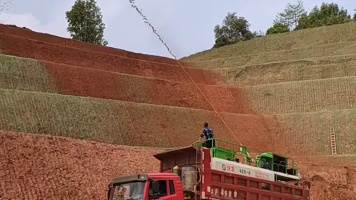 工程级边坡固土草种 公路铁路河道边坡护坡实景