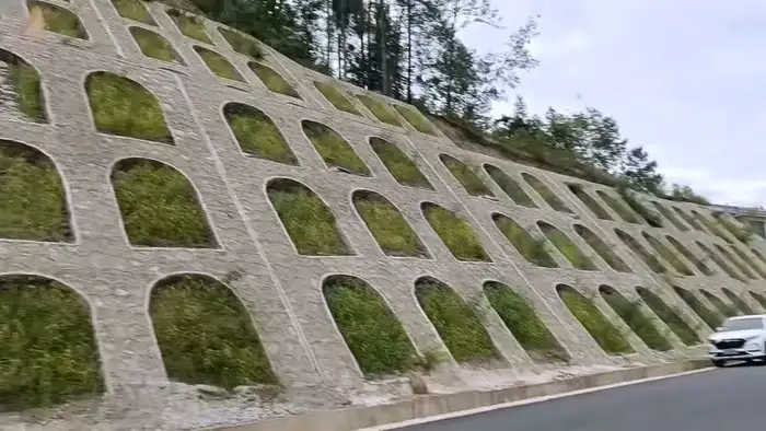 高陡边坡专用草种 45°以上高危边坡护坡实景