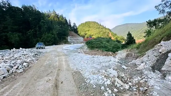 公路铁路护坡耐踩踏草种 高速国道铁路护坡实景