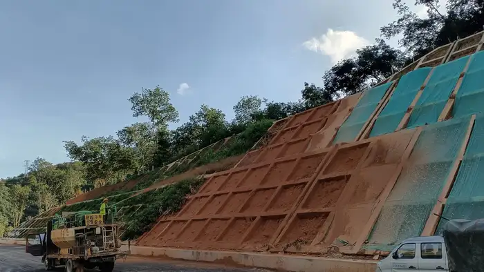 矿山边坡专用灌木种 矿坡弃渣场生态修复实景