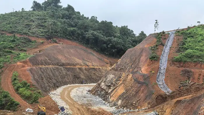 露天矿山专用固土草种 矿坑排土场生态修复实景