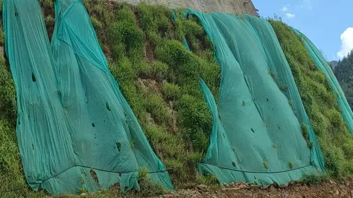 废弃矿山专用耐贫瘠草种 露天矿尾矿库生态修复实景