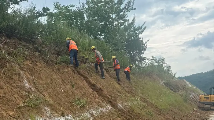 市政道路专用护坡草种 城市主干道立交边坡护坡实景