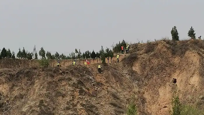 荒山速生造林种子 石质荒山绿化修复实景